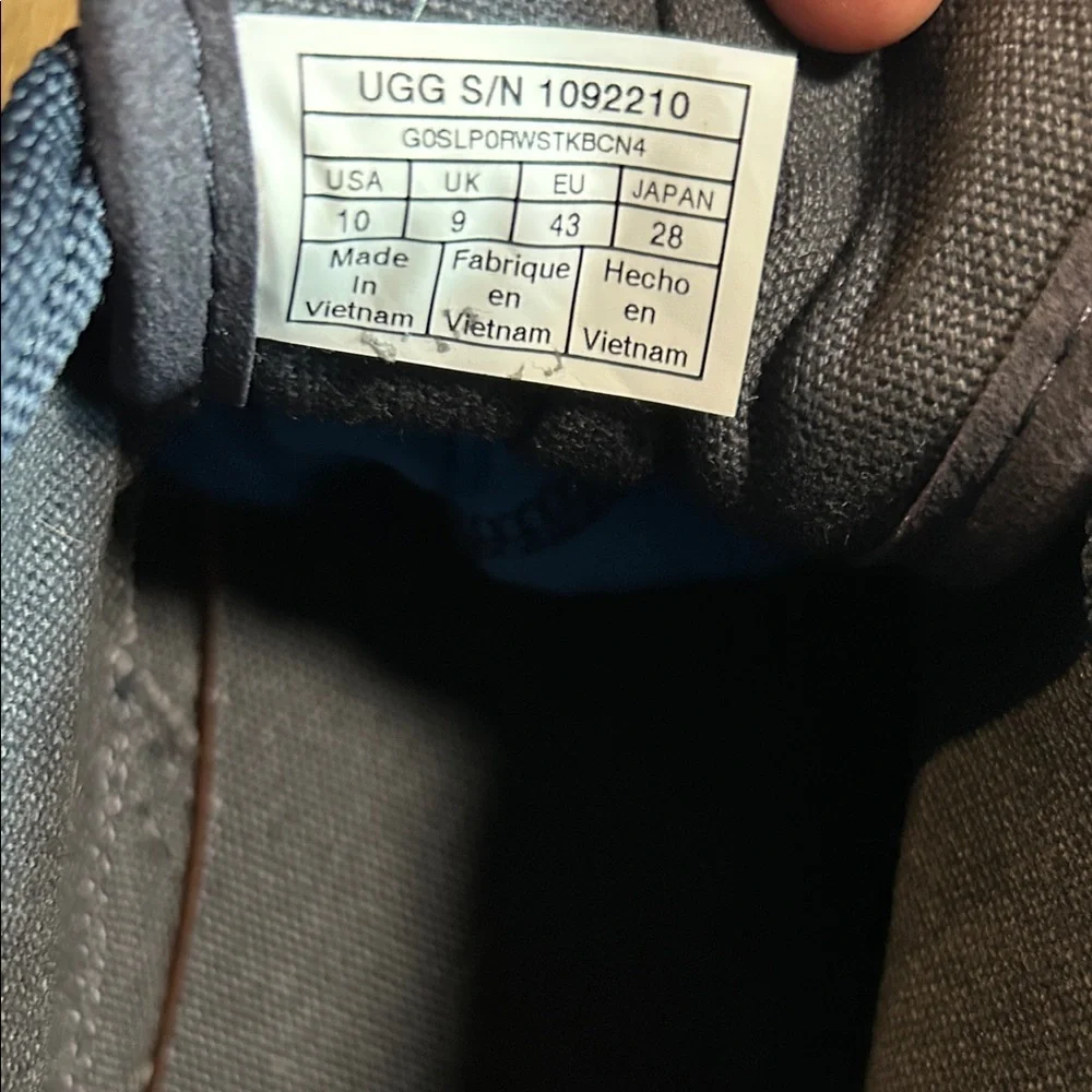UGG Men's Waterproof  Boots